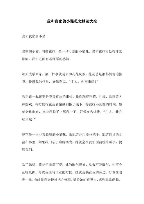 我和我家的小猫范文精选大全