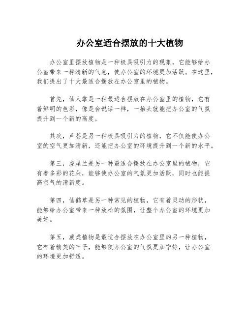 办公室适合摆放的十大植物