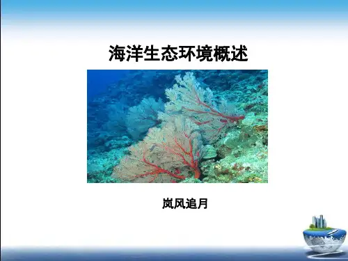 海洋生态环境概述.pptx