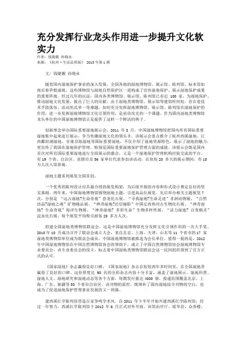 充分发挥行业龙头作用进一步提升文化软实力