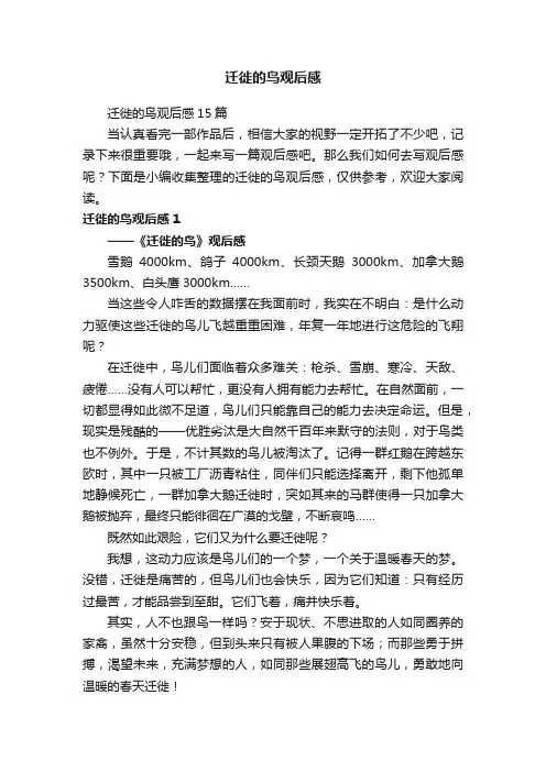 迁徙的鸟观后感