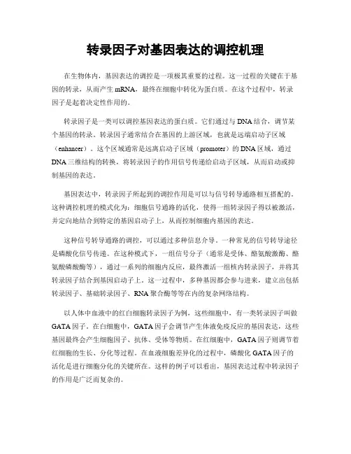 转录因子对基因表达的调控机理