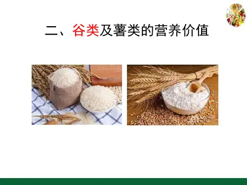 常见食物营养价值认知—谷类及薯类的营养价值