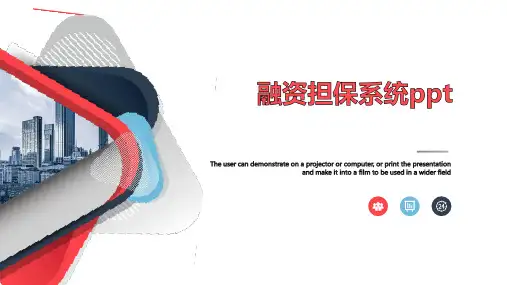 融资担保系统ppt