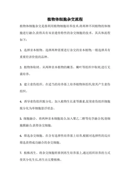 植物体细胞杂交流程