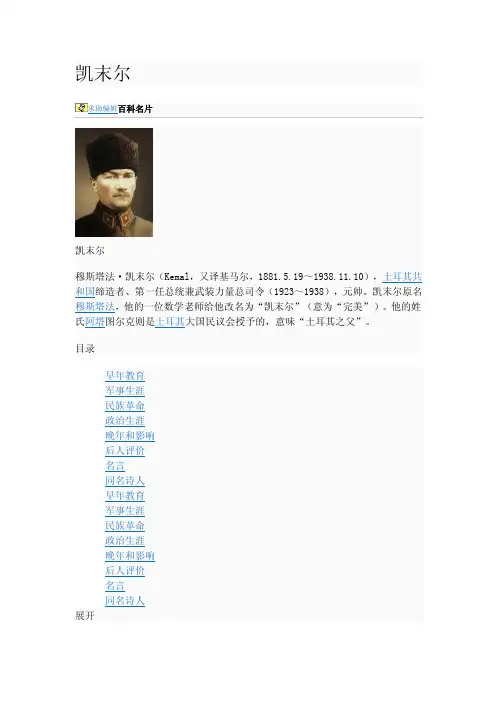 凯末尔——精选推荐