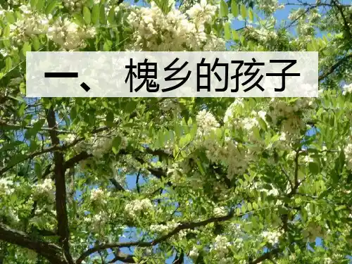 冀教版五年级语文下册《一单元  1 槐乡的孩子》教学设计_10