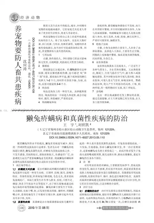 獭兔疥螨病和真菌性疾病的防治