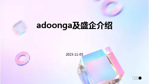 Adoonga及盛企介绍ppt