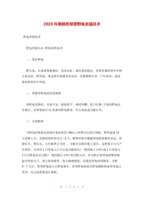 2023年最新的草原野兔养殖技术