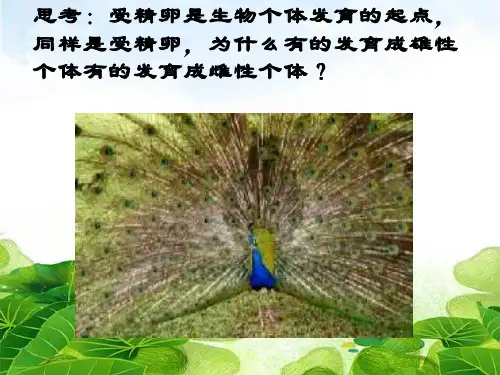 性别决定和伴性遗传(共22张PPT)精选优质 课件