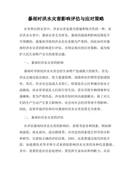暴雨时洪水灾害影响评估与应对策略