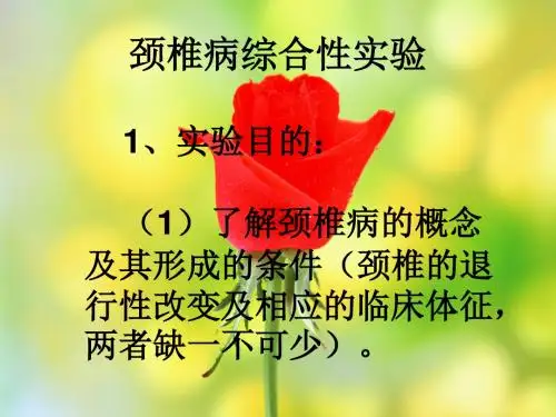 颈椎病综合性实验