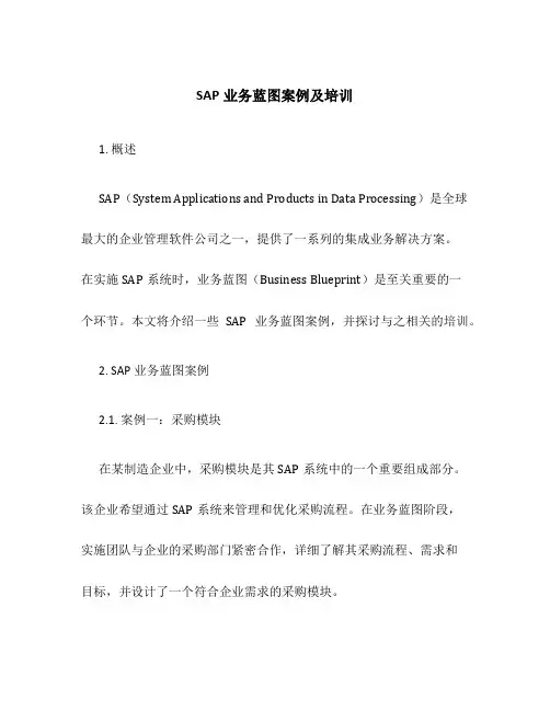 SAP业务蓝图案例及培训