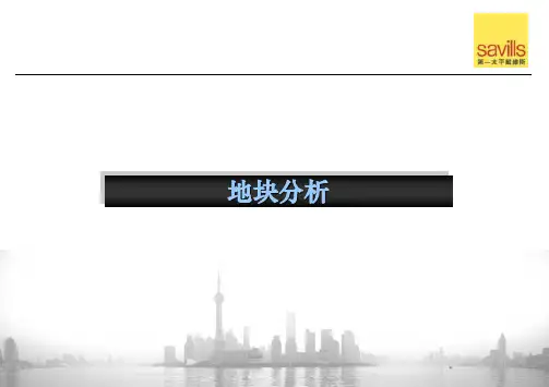2019天津响螺湾光耀东方定位报告-63P
