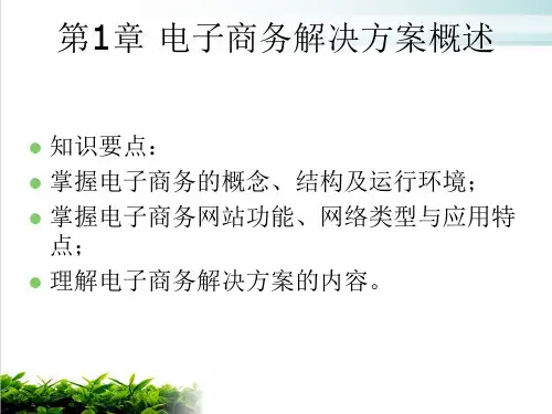 电子商务解决方案综合概述模版(PPT39张)