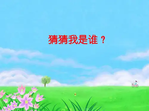 四年级上册科学课件3.1听听声音教科版共13张PPT