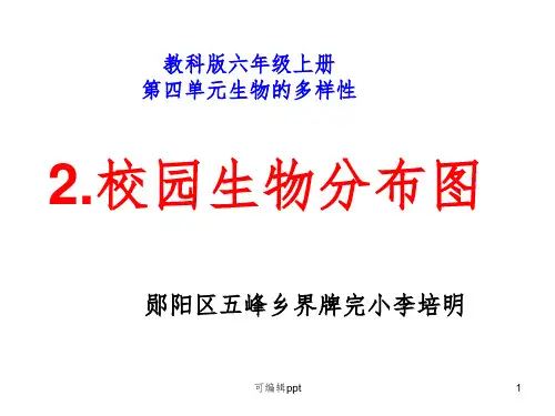 六年级科学上册----4.2《校园生物分布图》1ppt课件