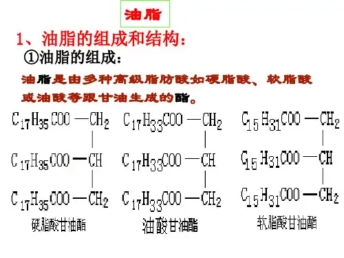 油脂、糖 氨基酸