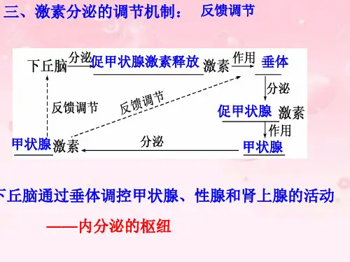 胰岛素分泌不足