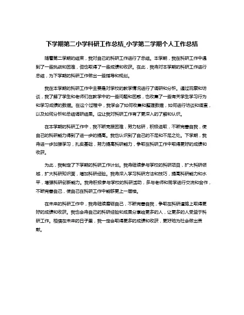 下学期第二小学科研工作总结_小学第二学期个人工作总结