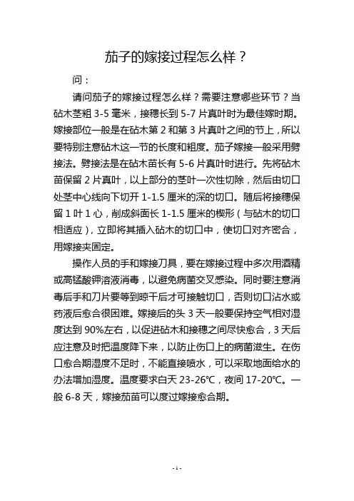 茄子的嫁接过程怎么样？