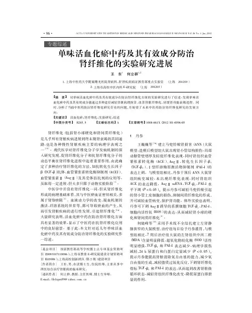 单味活血化瘀中药及其有效成分防治肾纤维化的实验进展