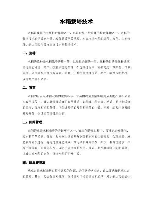 水稻栽培技术