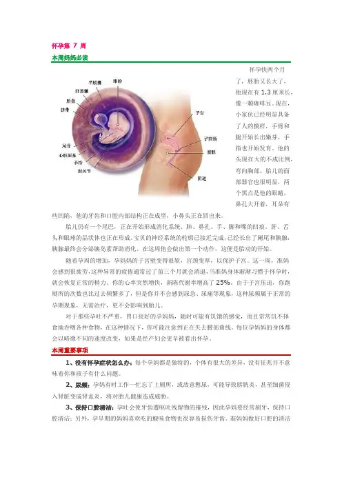 怀孕40周每周详解
