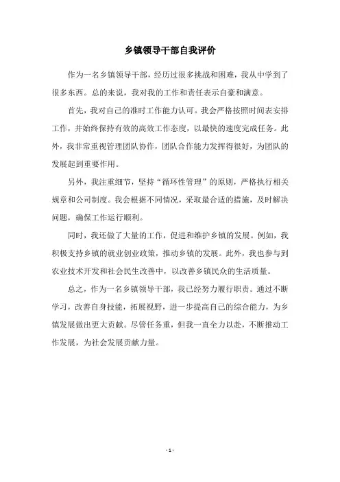 乡镇领导干部自我评价
