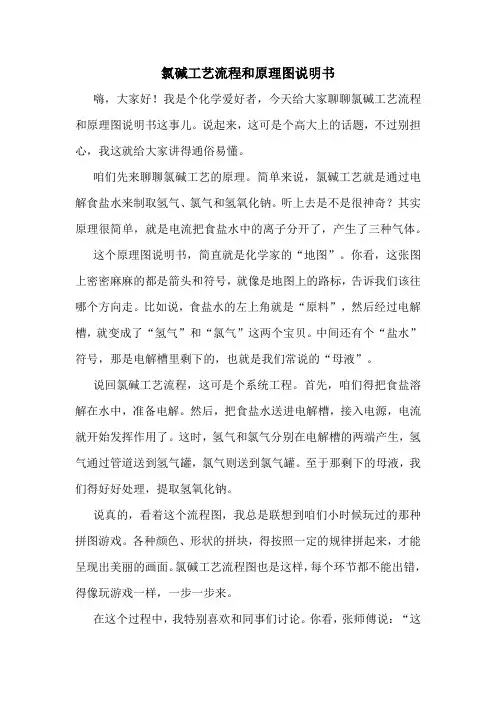 氯碱工艺流程和原理图说明书