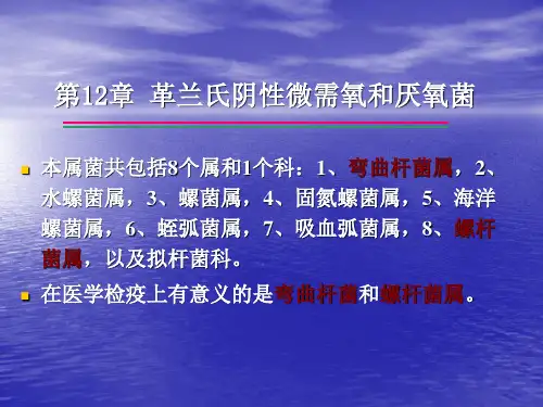 致病菌的检验革兰氏阴性微需氧和厌氧菌ppt课件