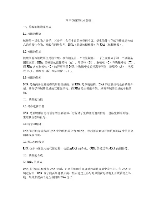 高中核酸知识点总结
