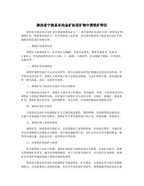 陕西省宁陕县东沟金矿标型矿物中黄铁矿特征