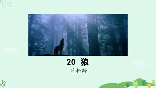 20《狼》课件(共43张PPT)