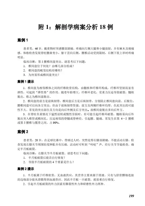 附1：解剖学案例分析