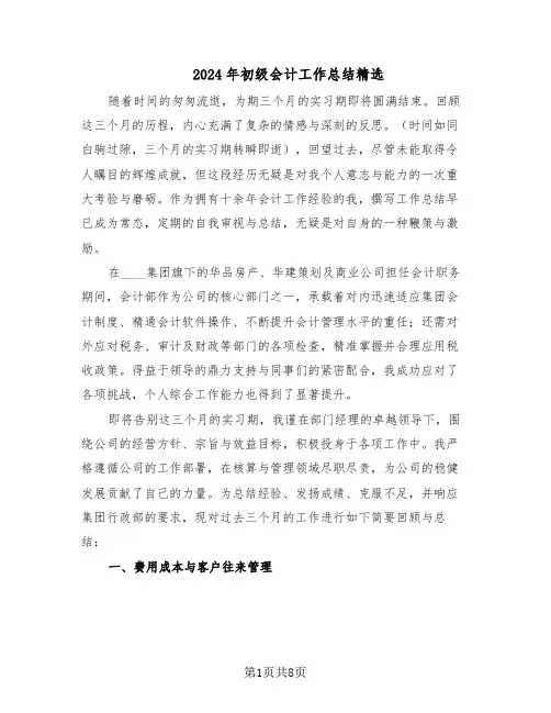2024年初级会计工作总结精选（3篇）