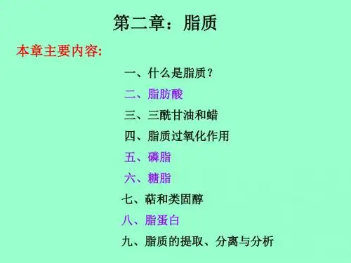 脂质