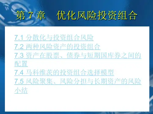 ch07风险资产与无风险资产之间的资本配置