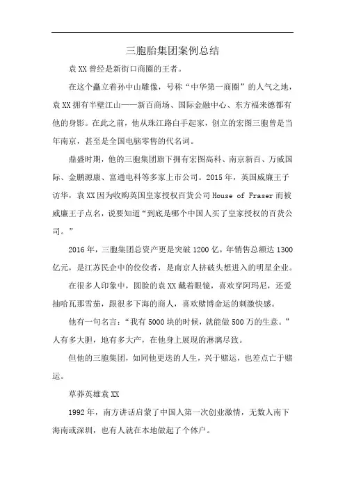 三胞胎集团案例总结