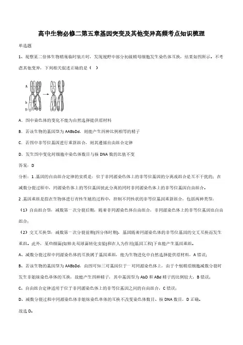 高中生物必修二第五章基因突变及其他变异高频考点知识梳理(带答案)