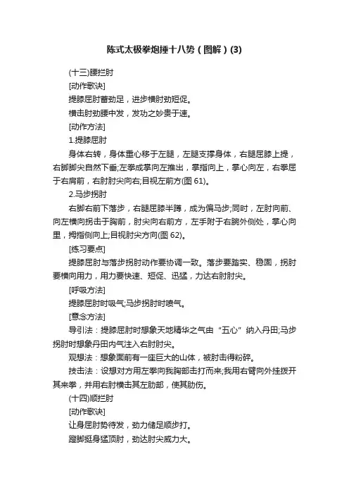 陈式太极拳炮捶十八势（图解）（3）