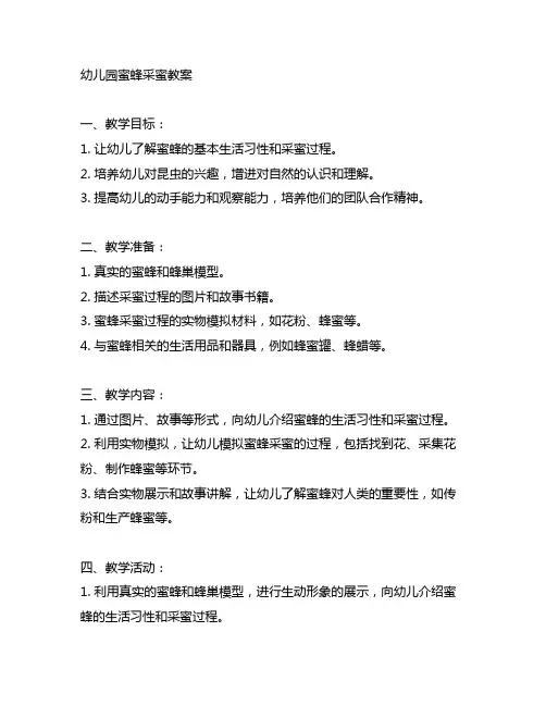 幼儿园蜜蜂采蜜教案 昆虫教育 幼儿园教案