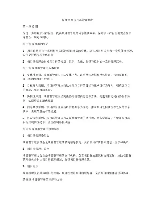 项目管理 项目群管理制度