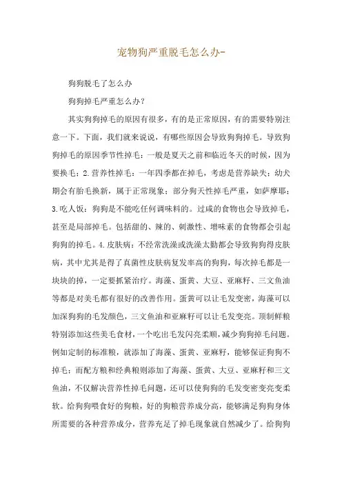 宠物狗严重脱毛怎么办--狗狗脱毛了怎么办