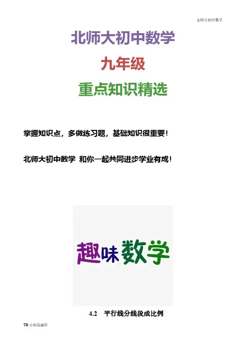 北师大版初中数学九年级上册4.2  平行线分线段成比例2
