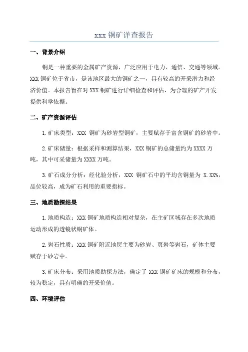xxx铜矿详查报告