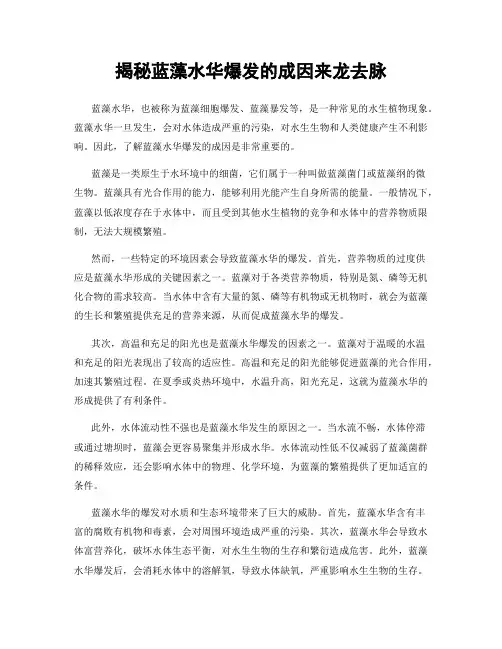 揭秘蓝藻水华爆发的成因来龙去脉