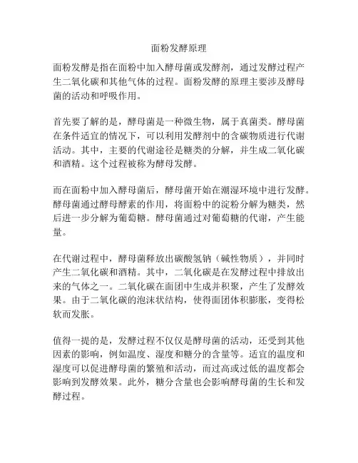 面粉发酵原理
