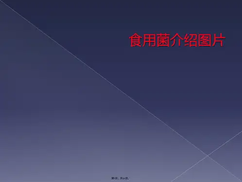 食用菌介绍图片